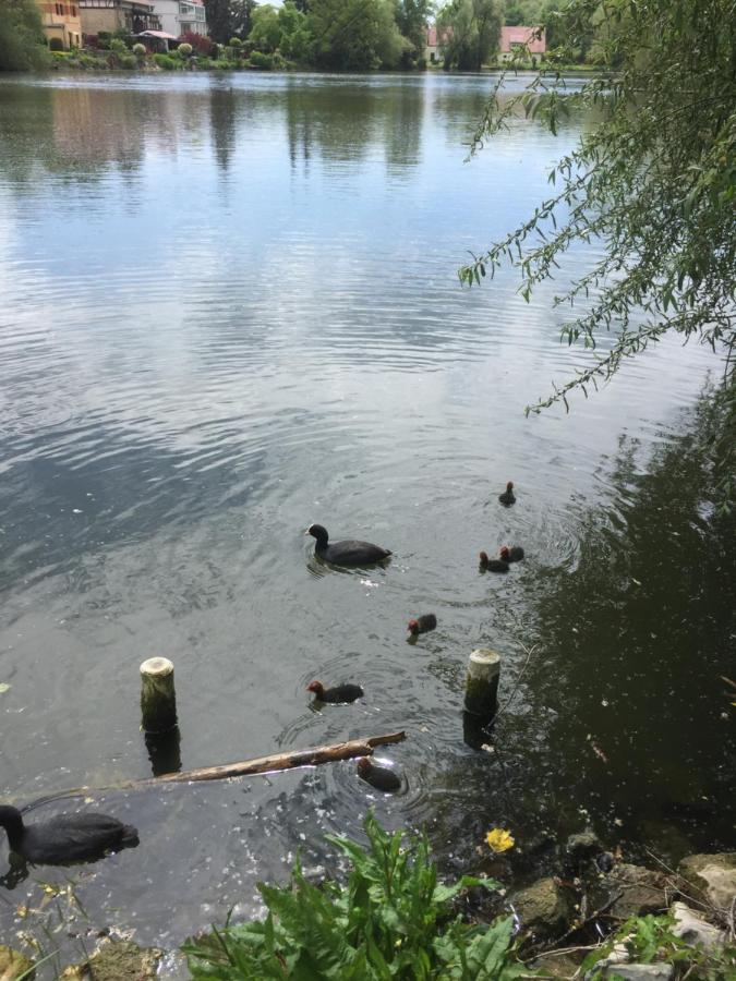 Familienfreundliche Ferienwohnung am See Sömmerda Exterior foto